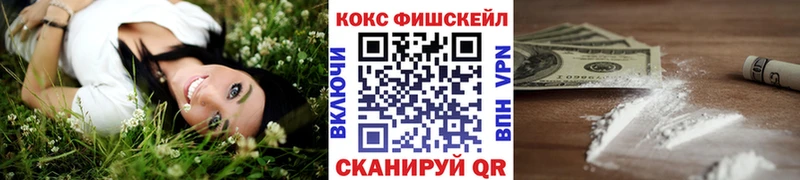 даркнет сайт  omg ONION  COCAIN 97%  Светлогорск 