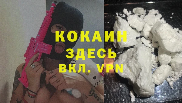 гашик Беломорск