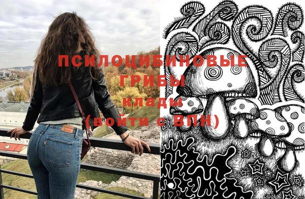 гашик Беломорск