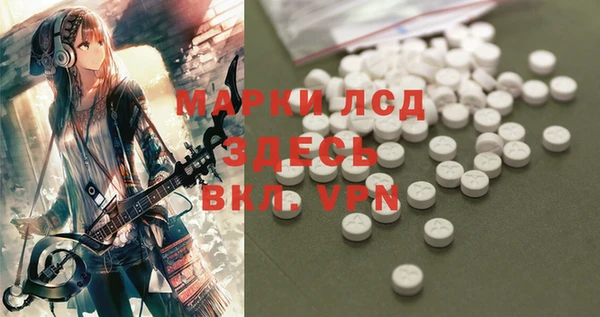 гашик Беломорск