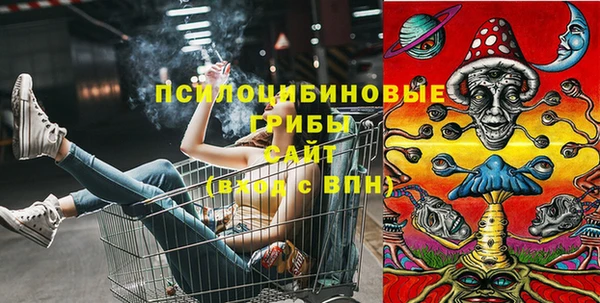 марки nbome Белокуриха