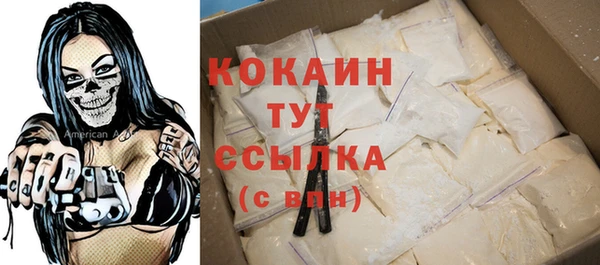 спайс Ельня