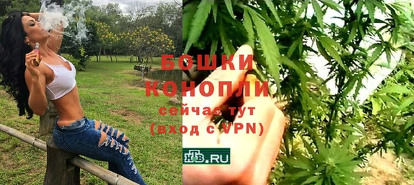 дживик Елабуга