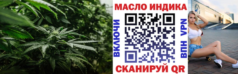 Дистиллят ТГК THC oil  купить наркоту  Светлогорск 