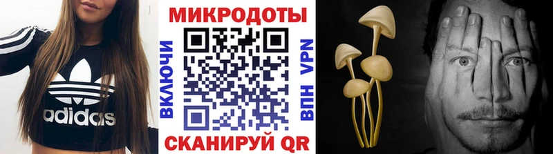где купить наркоту  Светлогорск  Галлюциногенные грибы Magic Shrooms 